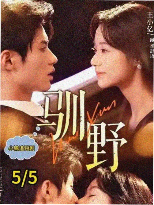 归途列车 剧集海报